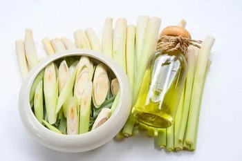 Quels effets ont la meilleure huile de citronnelle?
