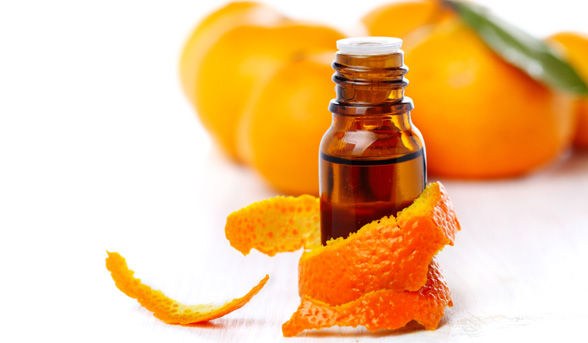 Cultivation et récolte de la qualité de l'huile d'orange