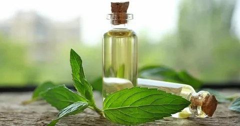 Bienfaits des huiles essentielles de menthe poivrée et de menthe verte
